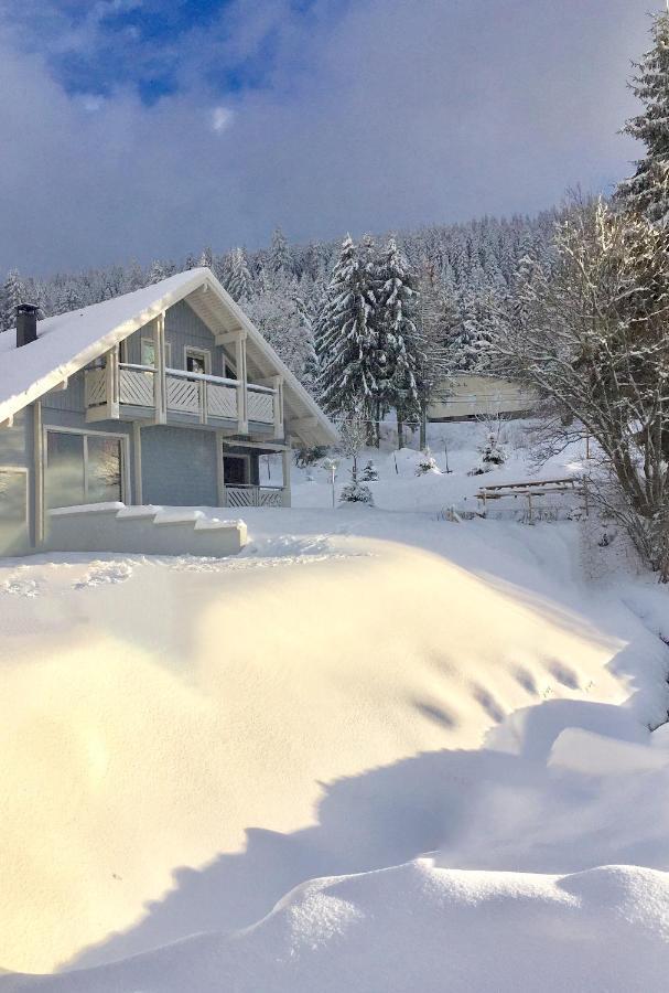 Chalet Le Flocon Bleu - Mauselaine Avec Vue Sur Le Lac De Gérardmer Eksteriør bilde