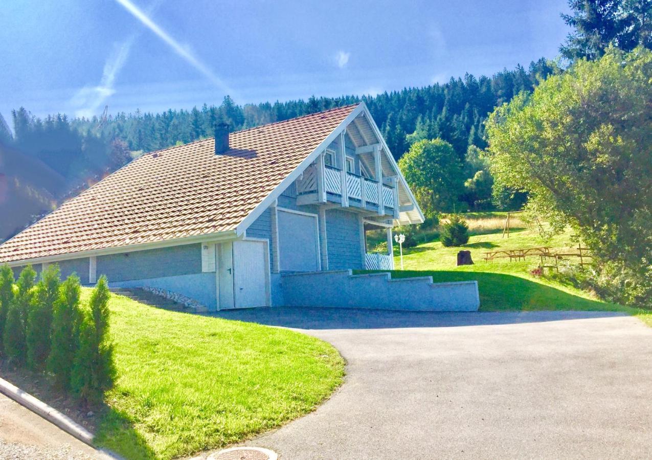 Chalet Le Flocon Bleu - Mauselaine Avec Vue Sur Le Lac De Gérardmer Eksteriør bilde
