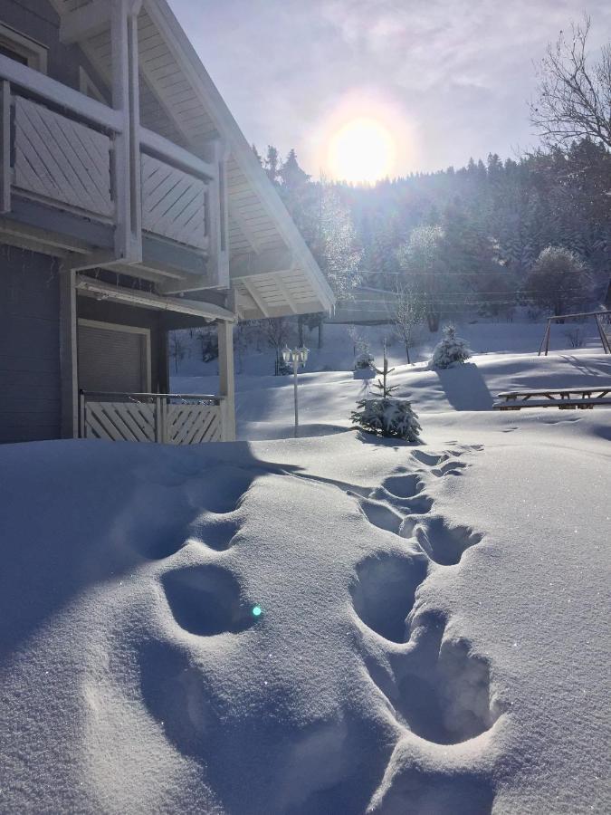Chalet Le Flocon Bleu - Mauselaine Avec Vue Sur Le Lac De Gérardmer Eksteriør bilde