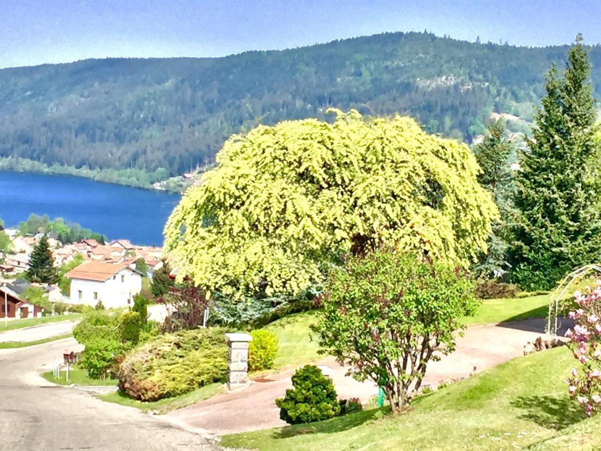 Chalet Le Flocon Bleu - Mauselaine Avec Vue Sur Le Lac De Gérardmer Eksteriør bilde